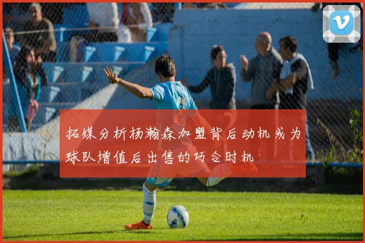拓媒分析杨瀚森加盟背后动机或为球队增值后出售的巧合时机